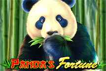 PANDA'S FORTUNE